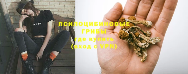 а пвп мука Верхний Тагил