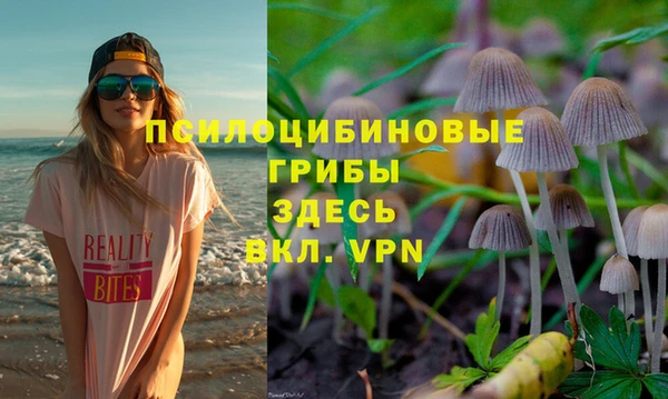 а пвп мука Верхний Тагил