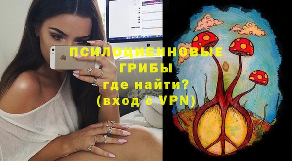 а пвп мука Верхний Тагил