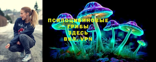 молекула духа Бородино