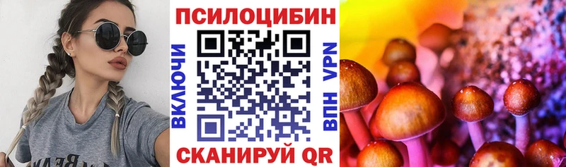 Псилоцибиновые грибы мицелий  Южно-Сахалинск 